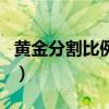 黄金分割比例是多少保留根号（黄金分割比例）