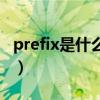 prefix是什么词性的意思（prefix是什么意思）