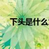下头是什么意思梗（有点上头是什么梗）