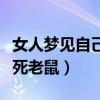 女人梦见自己打死老鼠出血（女人梦见自己打死老鼠）