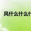 风什么什么什么的词语（风什么什么什么）