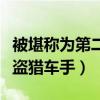 被堪称为第二个侠盗猎车手（被称为第二个侠盗猎车手）