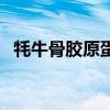牦牛骨胶原蛋白肽的作用与效果（牦牛骨）