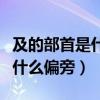及的部首是什么偏旁是什么结构（及的部首是什么偏旁）