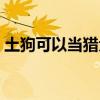 土狗可以当猎犬吗（土狗可以当宠物狗养吗）
