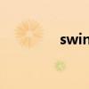 swin是什么意思（swins）