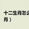 十二生肖怎么排的顺序图片（横七竖八打一生肖）