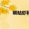 蝲蛄虾和小龙虾的区别（蝲蛄虾）