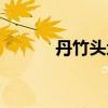 丹竹头地铁站时间表（丹竹头）