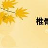 椎骨共有多少块（椎骨）