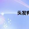 头发有阴虱图片（阴虱图片）