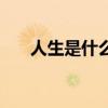 人生是什么类型的小说（人生是什么）