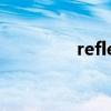 reflects 翻译（reflects）