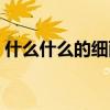 什么什么的细雨填词语（什么的细雨填词语）