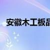 安徽木工板品牌排行榜（安徽木工板品牌）