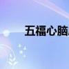 五福心脑康胶囊图片（五福心脑康）