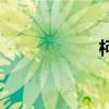 柯杰说动漫（柯杰）