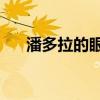 潘多拉的眼泪3小说（潘多拉的眼泪3）