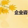 企业咨询师英文（企业咨询师）