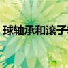 球轴承和滚子轴承谁的承载能力高（球轴承）