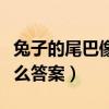 兔子的尾巴像什么怎么填空（兔子的尾巴像什么答案）