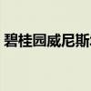 碧桂园威尼斯城水岸人家（碧桂园威尼斯城）