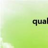 qualify to do（qualify）
