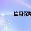 信用保险是什么意思（信用保险）