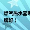 燃气热水器哪个品牌好用(燃气热水器哪个品牌好) 燃气热水器哪个品牌好用(燃气热水器哪个品牌好)