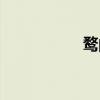 鹜的意思（豫的意思）