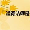 道德洁癖是什么意思（洁癖是什么意思）