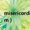 misericordiam是什么意思?(misericordiam) misericordiam是什么意思?(misericordiam)