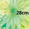 28cm是多大码的鞋（28cm）