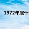 1972年属什么生肖（1967年属什么生肖）