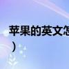 苹果的英文怎么写怎么读（苹果的英文怎么写）