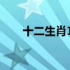 十二生肖12时辰顺序（12时辰顺序）