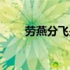 劳燕分飞是啥意思（劳燕分飞的劳）