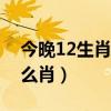 今晚12生肖开哪个生肖（今晚十二生肖开什么肖）