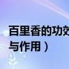 百里香的功效与作用及禁忌症（百里香的功效与作用）
