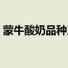 蒙牛酸奶品种及价格表图片（蒙牛酸奶品种）