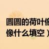 圆圆的荷叶像什么比喻句二年级（圆圆的荷叶像什么填空）
