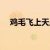 鸡毛飞上天原型现状（鸡毛飞上天原型）