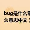 bug是什么意思中文翻译成为英文（bug是什么意思中文）