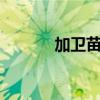 加卫苗9价和默沙东（加卫苗）