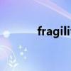 fragility的形容词（fragility）