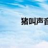 猪叫声音怎么写（猪叫声怎么写）
