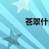 苍翠什么滴（苍翠的什么填空）