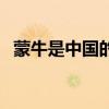 蒙牛是中国的还是外国的（蒙牛是国企吗）