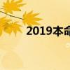 2019本命年属什么（2019本命年）