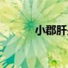 小郡肝是啥意思（小郡肝是啥）